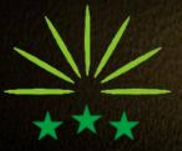 Green Palace ***, Sinaia