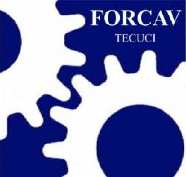FORCAV, Tecuci