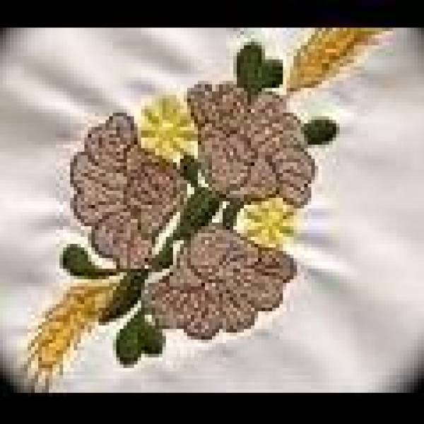 HYPERION TRADE, Sânleani