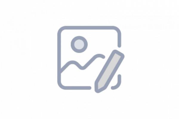 Dageda Dream Trade, Bucov