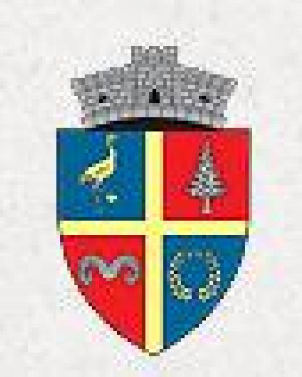 Centrul de Informare Turistica Răşinari, Răşinari