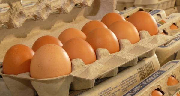 Avia Agro-Banat, Bocşa