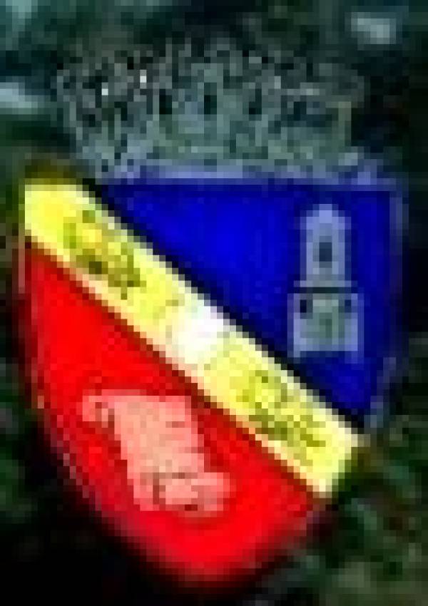 Primaria Municipiului Slobozia, Slobozia