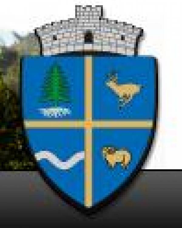 Primaria comunei sant, Șanţ