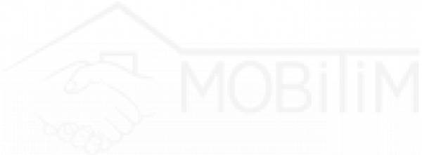 Mobitim Imobile, Dej