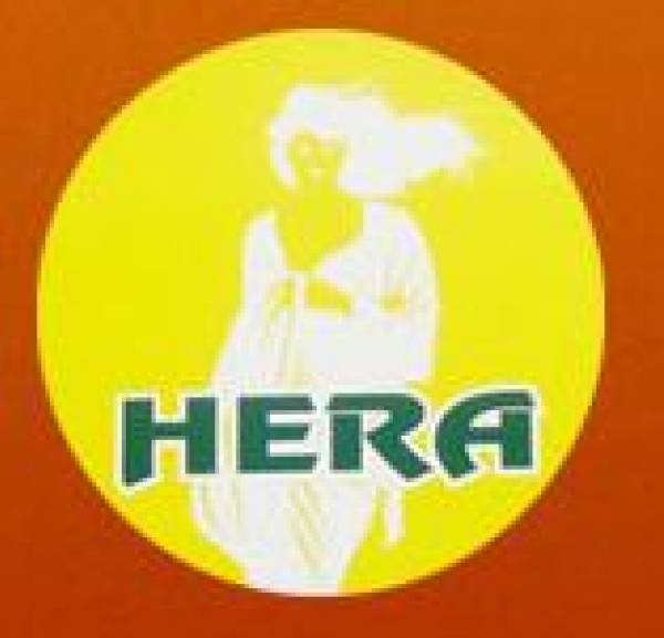 Vila Hera, Băile Herculane