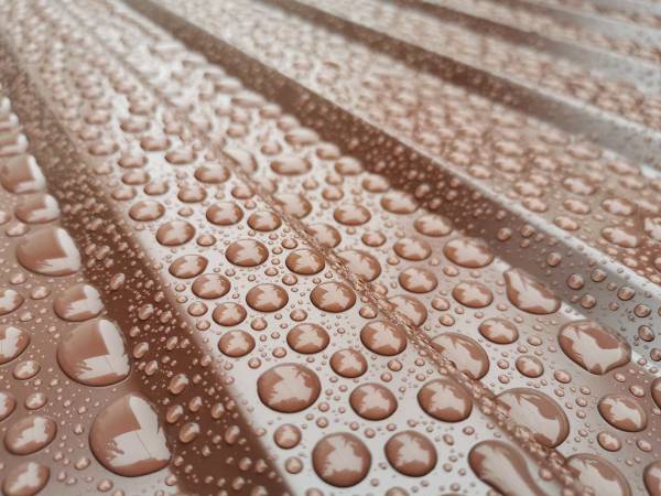 MASLENRO S.R.L. Nadlac, Nădlac