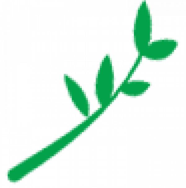 Plantimed, Bunteşti