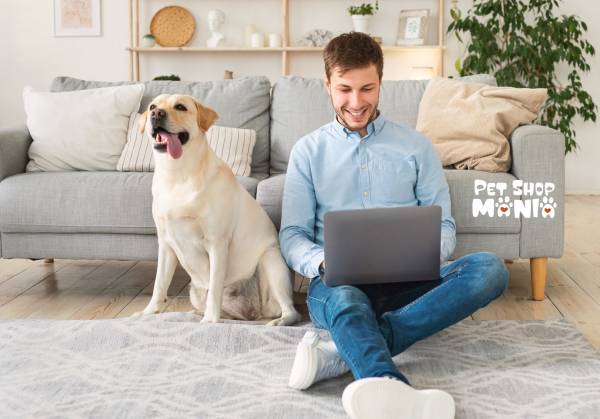 PetShopMania.ro, Amaţi