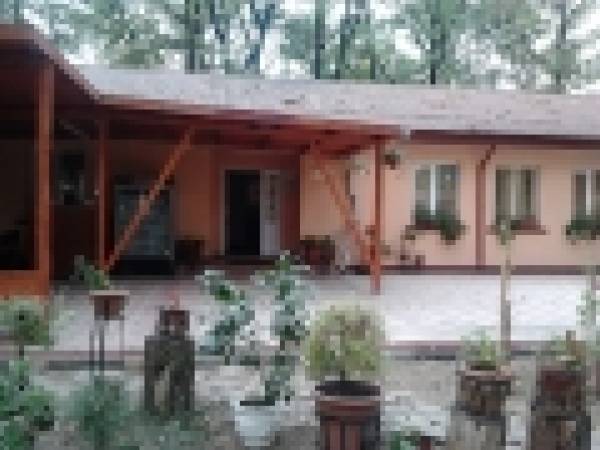 Emilly Mdm Tour, Băneşti