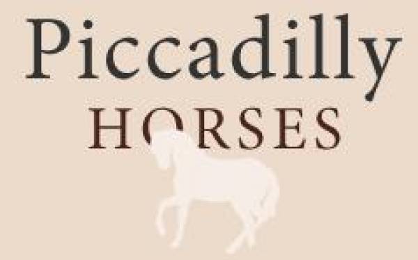 Piccadilly Horses, Tâncăbeşti