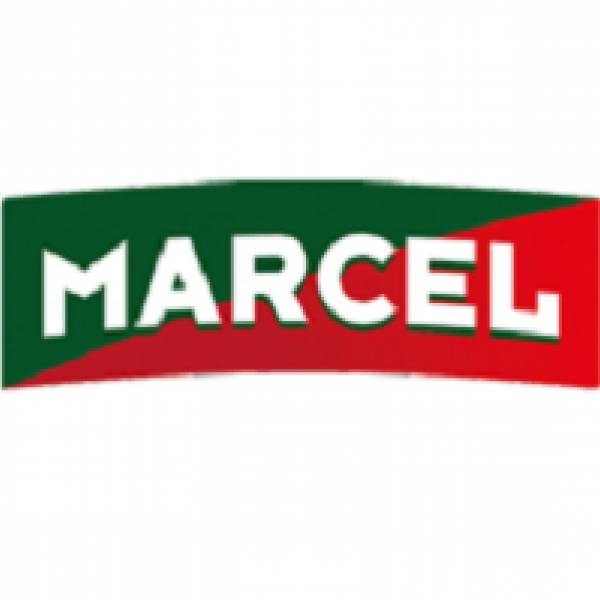 MARCEL, Izvoarele