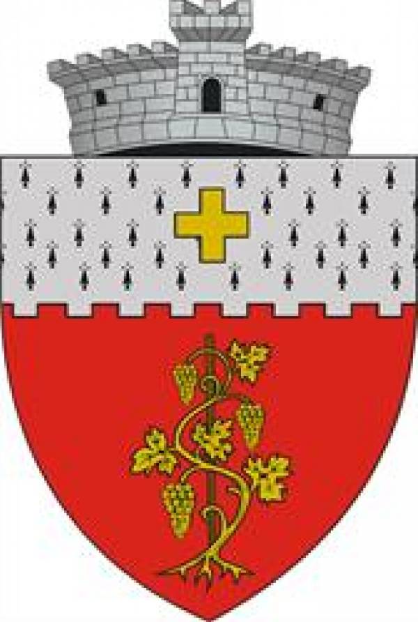 Primăria Aroneanu, Aroneanu