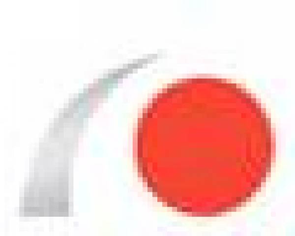 Iva Bestal, Bragadiru