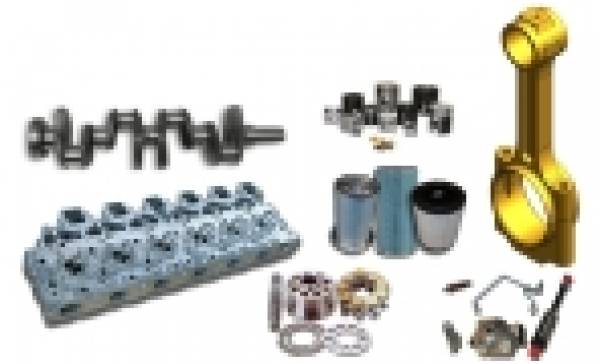 Patricia Impex Com, Râmnicu Sărat