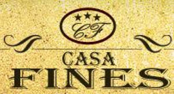 Casa Fines, Paşcani