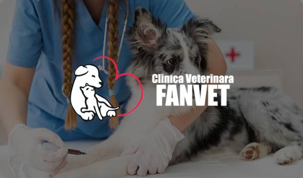 Clinica Fanvet, Suceava