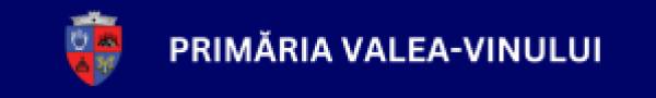 Primăria Valea Vinului, Valea Vinului