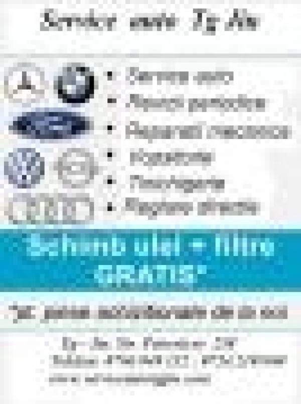 Service Auto Gutu Florin, Târgu Jiu