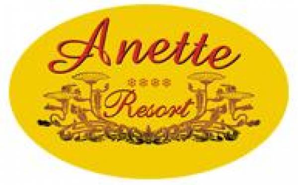 Pensiunea Anette, Covaci