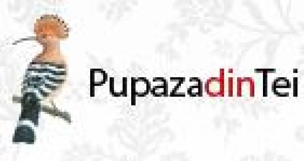 Pupaza din tei, Bucureşti