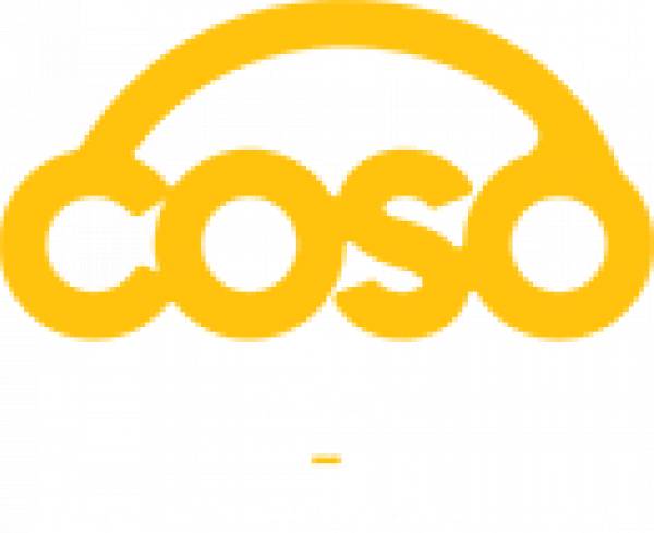 Coso Garaj, Miroslava