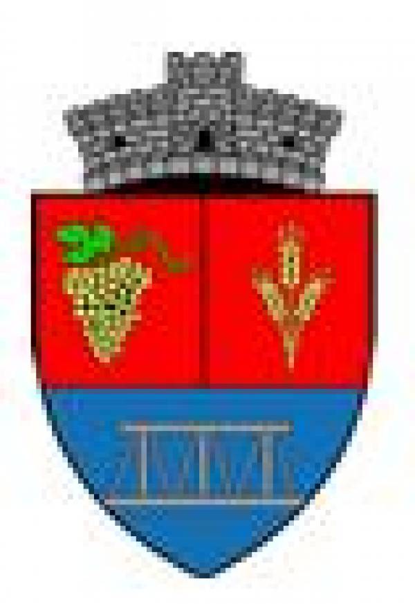 Primaria Comunei Ganesti, Găneşti