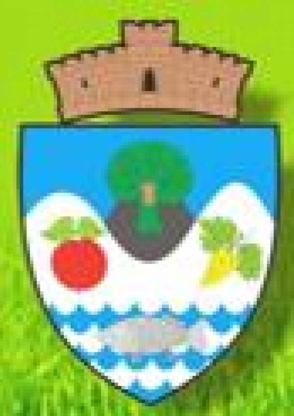 Primaria Comunei Paleu, Paleu