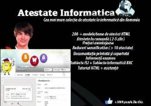 Atestate Informatica, Botoşani