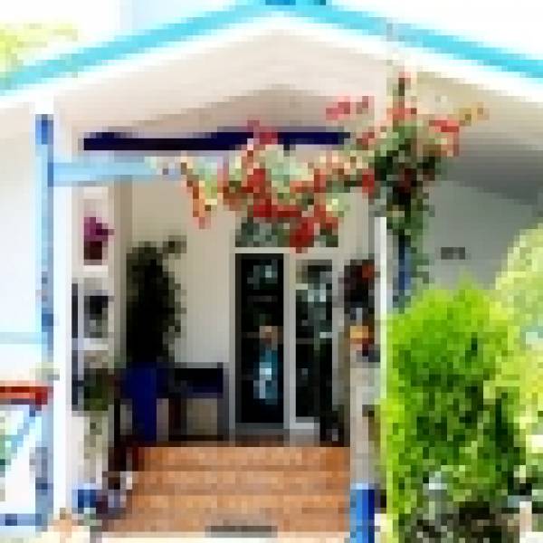 Vila Alex, Costineşti