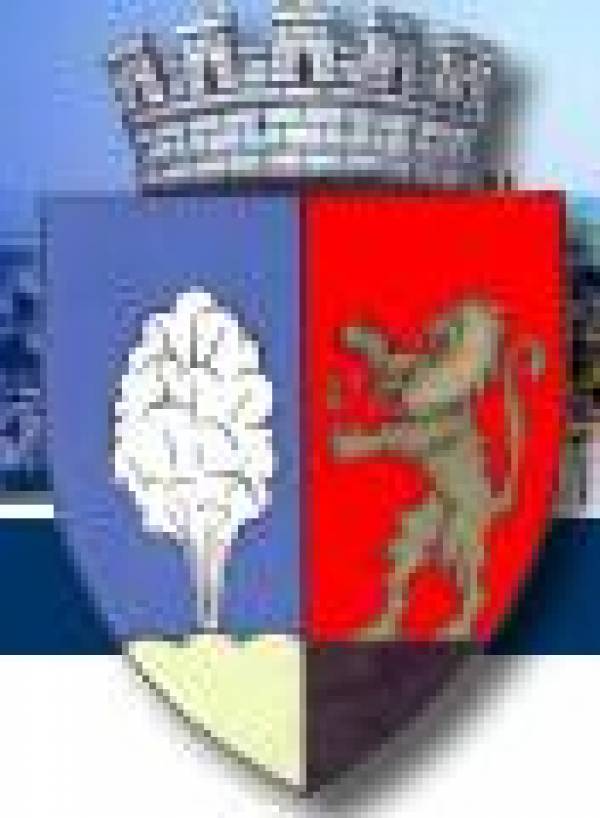 Primăria Municipiului Târnăveni, Târnăveni