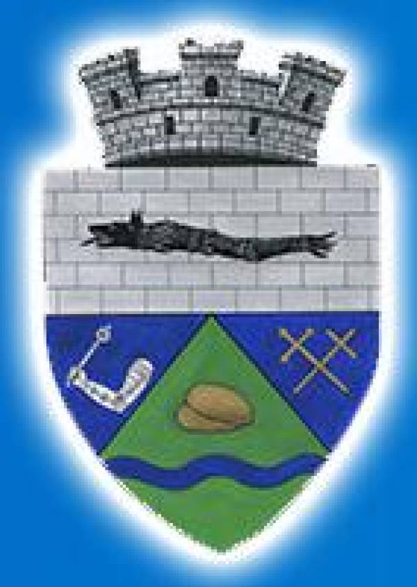 Primăria Pecica, Pecica