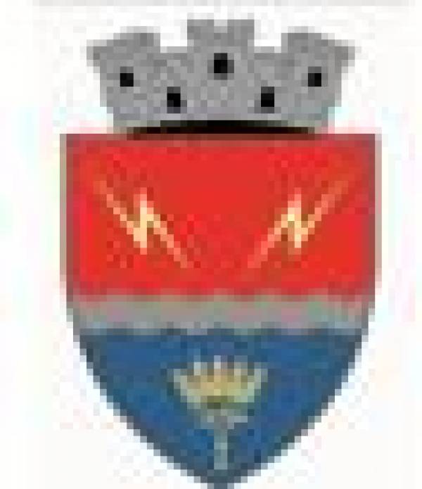 Primaria Orasului Turceni, Turceni