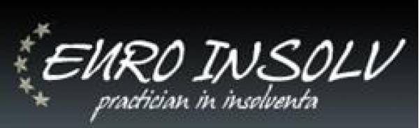 Euro Insolv Sprl, Satu Mare