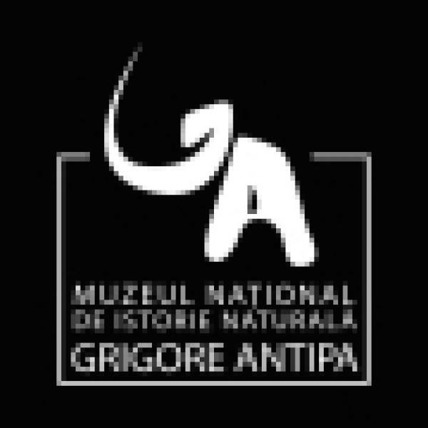 Muzeul de Istorie Naturala Grigore Antipa, Bucureşti
