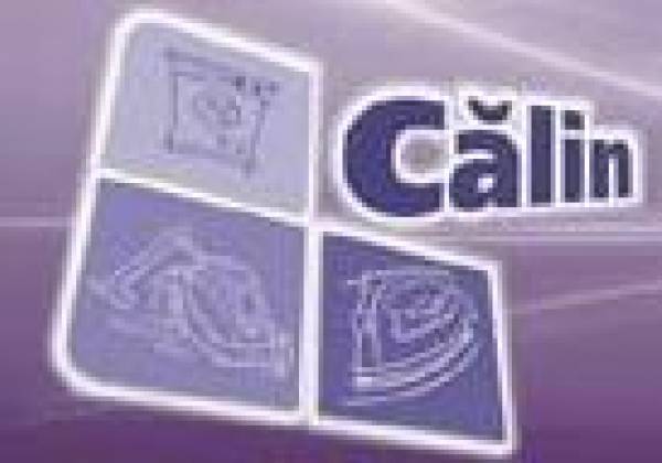 Calin, Curtea de Argeş