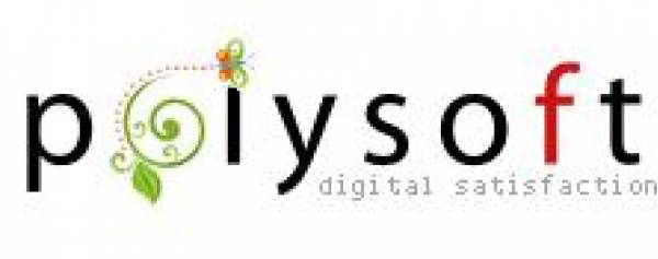 Polysoft, Cluj-Napoca