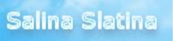 Interbanc Consult, Slatina