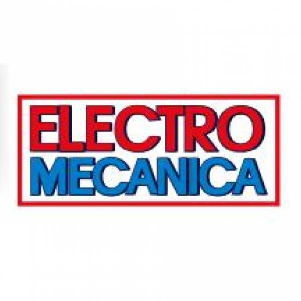 ELECTROMECANICA SATU MARE, Botiz