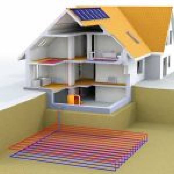 Frigomania vioflor, Slatina