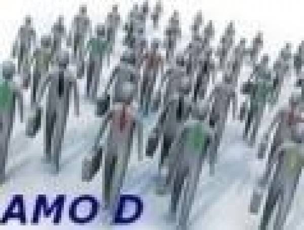 Asociatia Amod, Slatina