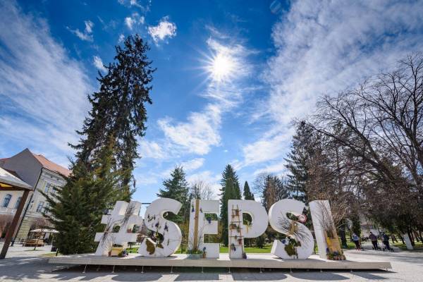 Primaria Sfantu Gheorghe, Sfântu Gheorghe