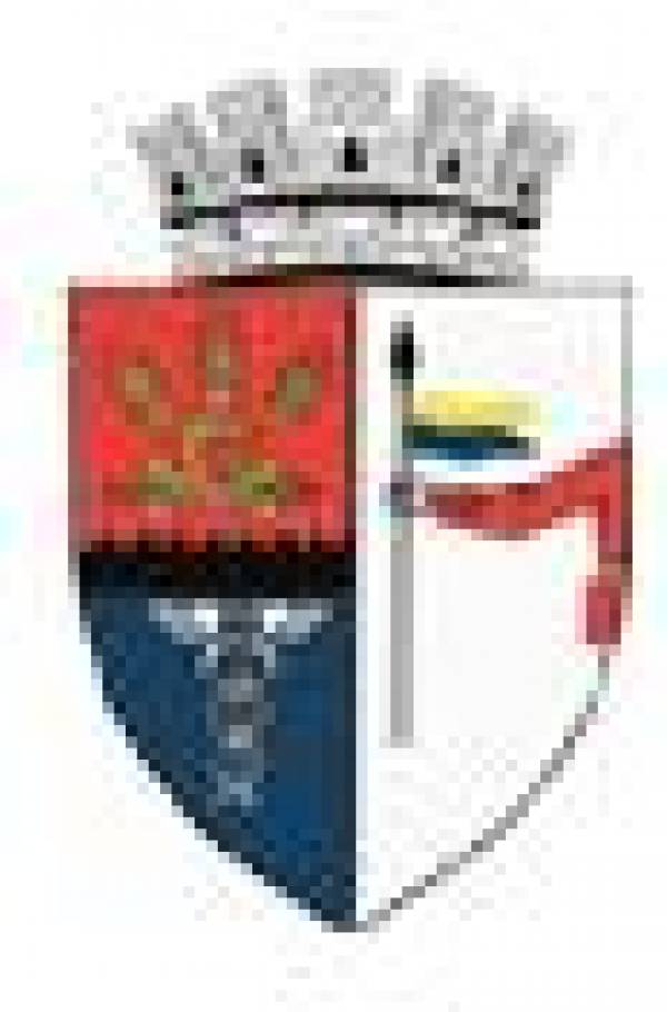 Primaria Rosiorii de Vede, Roşiori de Vede