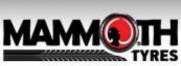 Mammoth Tyres, Târgu Mureş