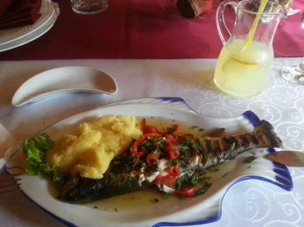 Casa Pastravarului Doripesco, Hălchiu