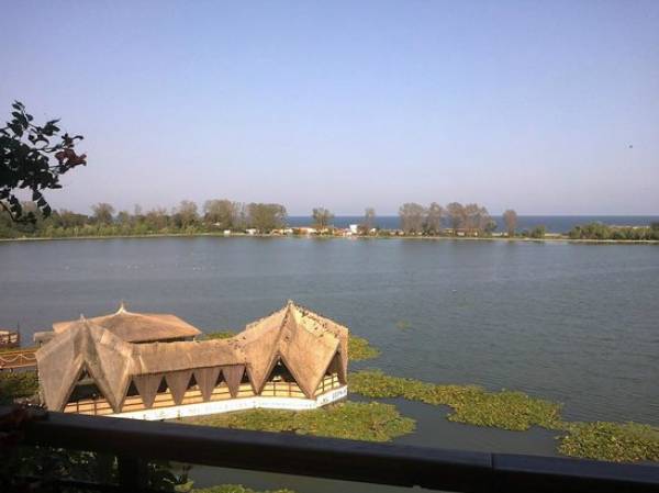 Complex Insula, Neptun