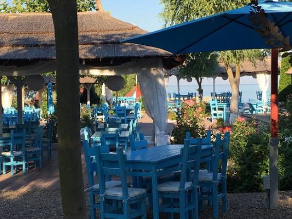 La Caru' cu Scoici, Venus