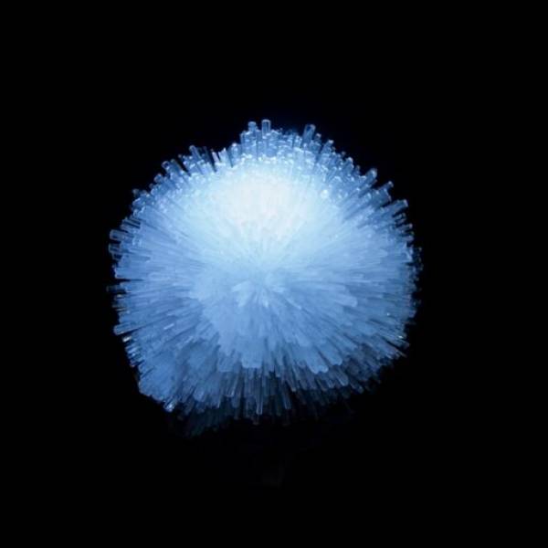 Q Club Craiova, Craiova