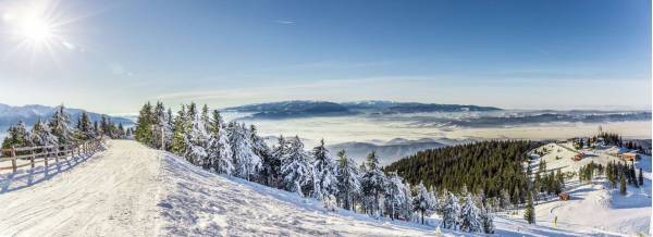 Restaurant Ferma Brandusa, Avrig