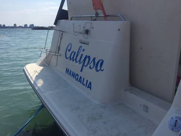 Hotel Calipso, Venus